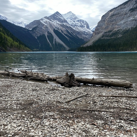 Meet your Posher, Rt - Picture 1 of 1